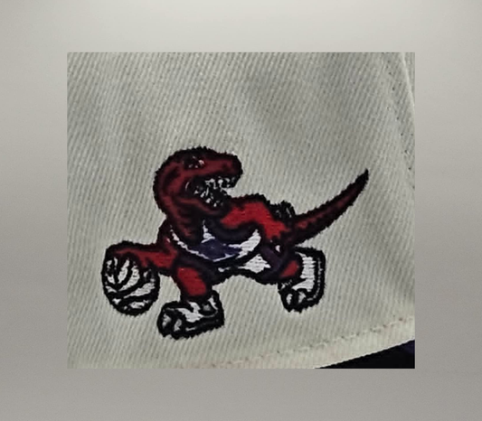 Casquette Raptors Toronto 940 A-Frame Blanche