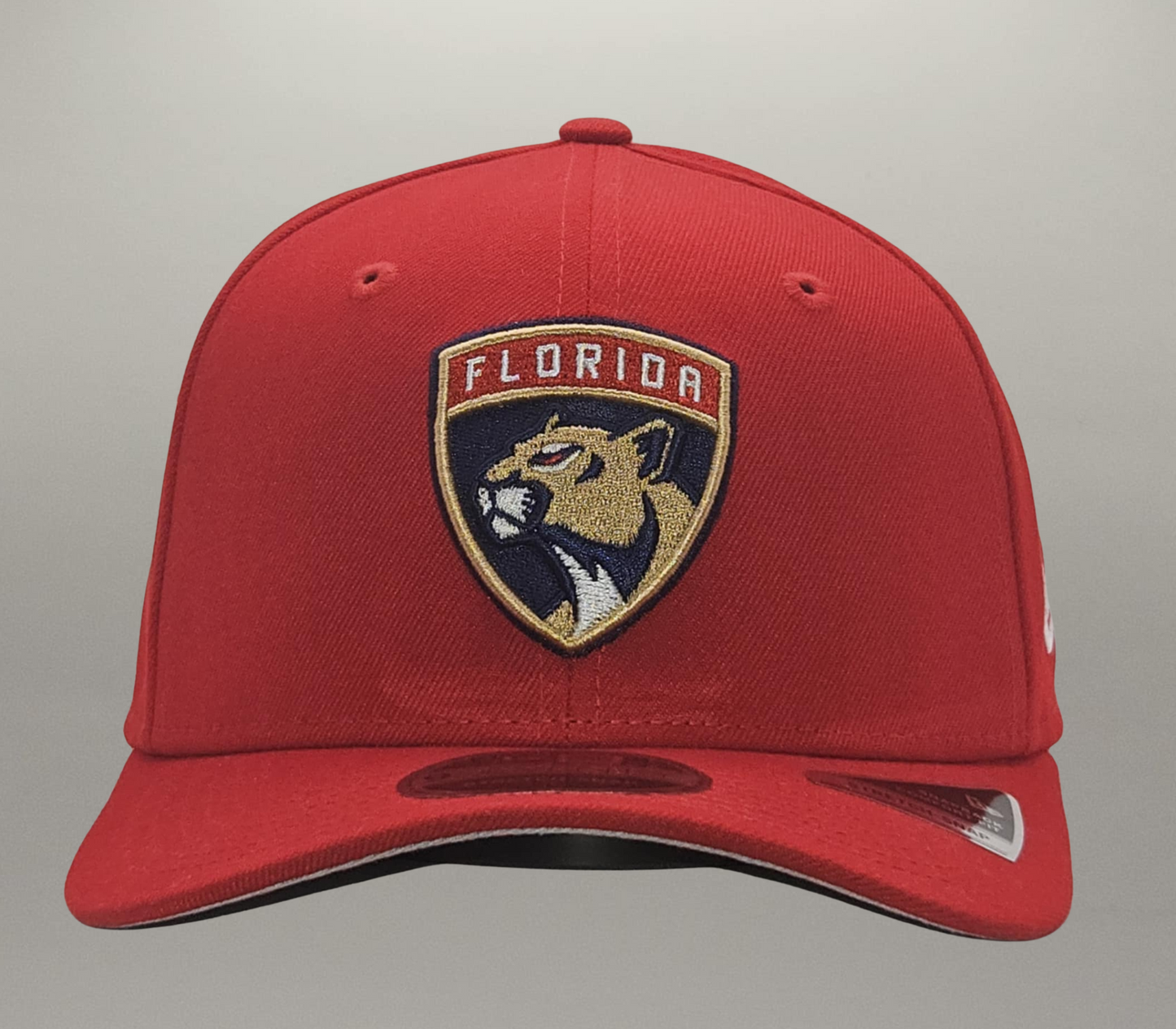 Casquette Panthers de la Floride Stretch Snap
