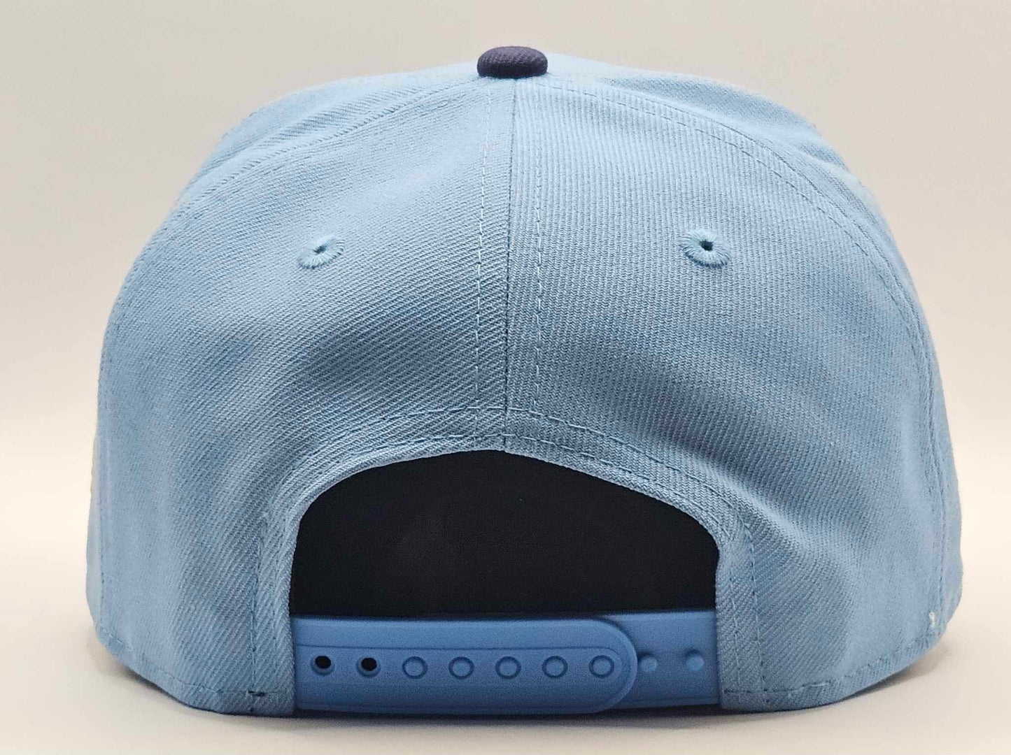 Casquette Panthers de la Floride 940 A F Bleue Poudre