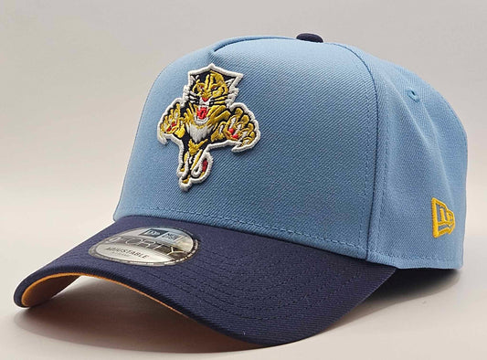 Casquette Panthers de la Floride 940 A F Bleue Poudre