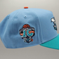 Casquette Hornets Charlotte 940 A-Frame