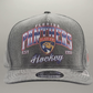 Casquette Panthers de la Floride Washed