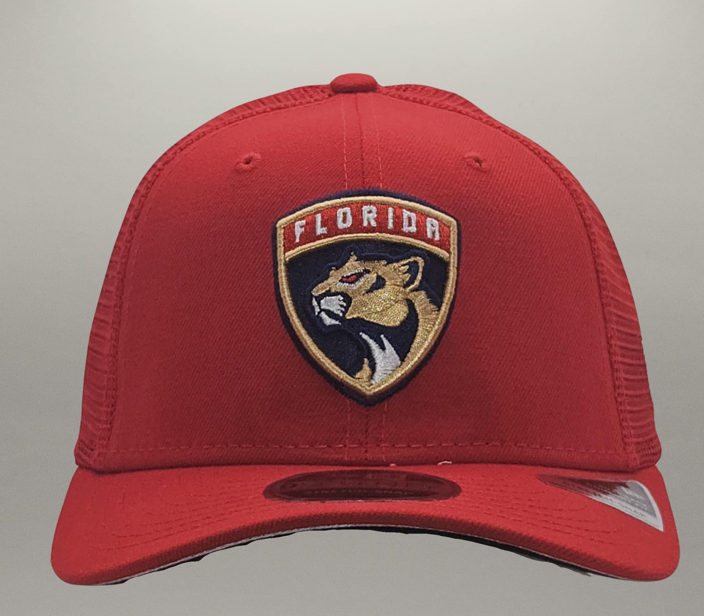 Casquette Panthers de la Floride Strech Snap Mesh