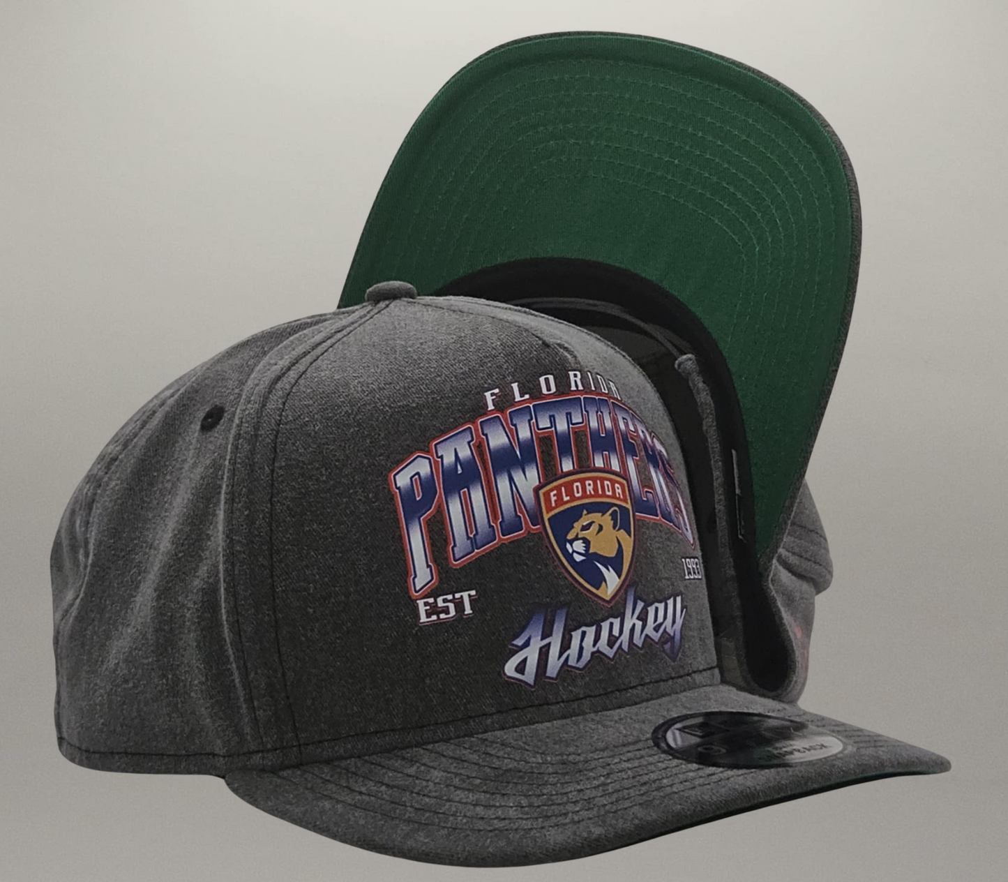 Casquette Panthers de la Floride Washed