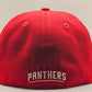 Casquette Fitted Panthers de la Floride EG